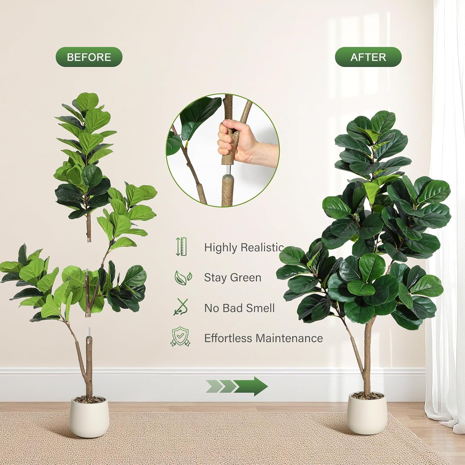 4-7 FT Fiddle Leaf Fig Tree Ar - Ficus Lyrata Tree ulasan dan harga