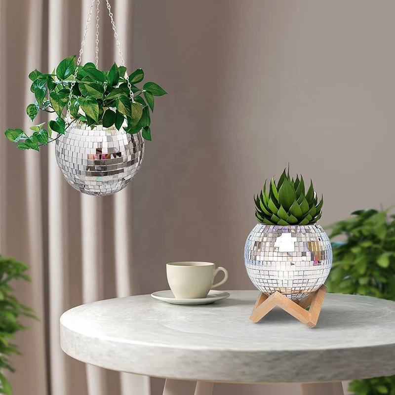Disco Mirror Ball Hanging Flow - Echeveria Succulent ulasan dan harga